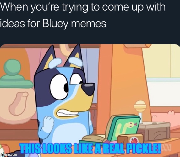 Bluey Memes Imgflip