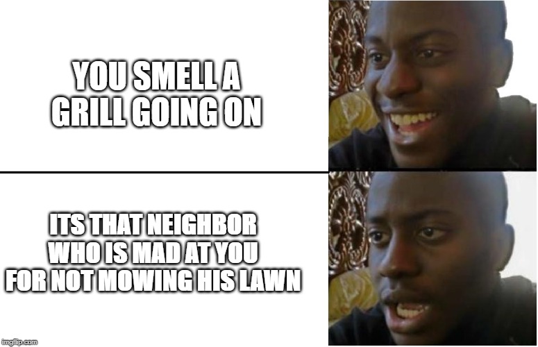 Disappointed Black Guy | YOU SMELL A GRILL GOING ON; ITS THAT NEIGHBOR WHO IS MAD AT YOU FOR NOT MOWING HIS LAWN | image tagged in disappointed black guy | made w/ Imgflip meme maker