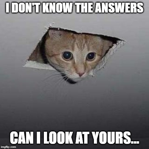 Ceiling Cat | I DON'T KNOW THE ANSWERS; CAN I LOOK AT YOURS... | image tagged in memes,ceiling cat | made w/ Imgflip meme maker