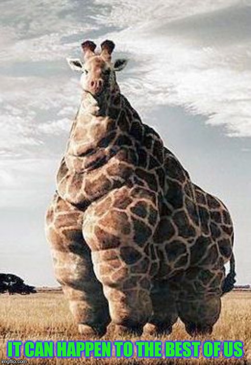 Fat Giraffe | IT CAN HAPPEN TO THE BEST OF US | image tagged in fat giraffe | made w/ Imgflip meme maker
