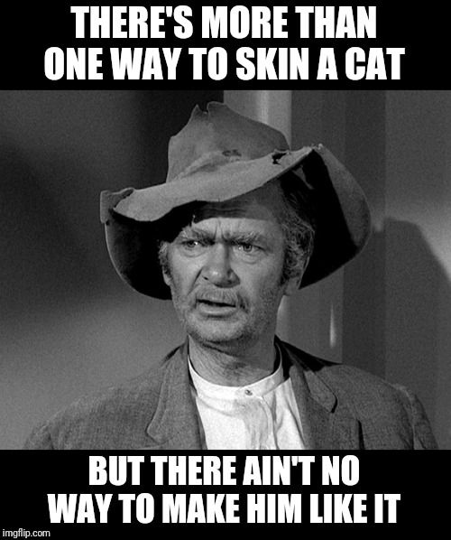 Jed Clampett | THERE'S MORE THAN ONE WAY TO SKIN A CAT; BUT THERE AIN'T NO WAY TO MAKE HIM LIKE IT | image tagged in jed clampett,memes | made w/ Imgflip meme maker