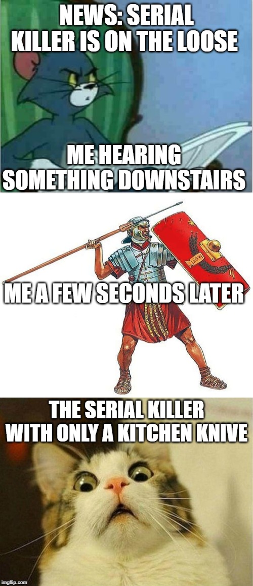 You picked the wrong House fool | NEWS: SERIAL KILLER IS ON THE LOOSE; ME HEARING SOMETHING DOWNSTAIRS; ME A FEW SECONDS LATER; THE SERIAL KILLER WITH ONLY A KITCHEN KNIVE | image tagged in memes,scared cat,interrupting tom's read,roman soldier | made w/ Imgflip meme maker