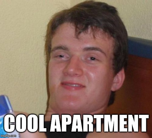 10 Guy Meme | COOL APARTMENT | image tagged in memes,10 guy | made w/ Imgflip meme maker