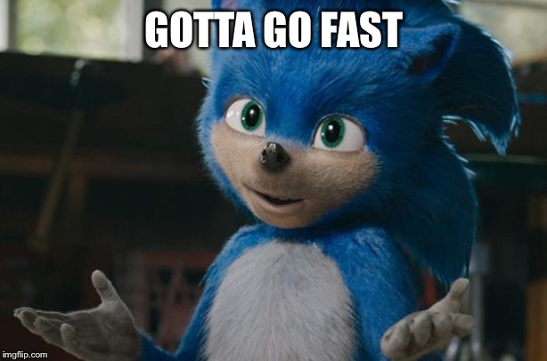 Sonic movie meow | GOTTA GO FAST | image tagged in sonic movie meow | made w/ Imgflip meme maker