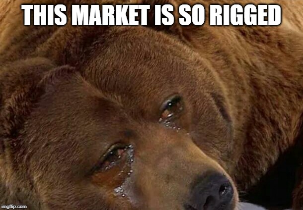 Crying bear | THIS MARKET IS SO RIGGED | image tagged in crying bear | made w/ Imgflip meme maker