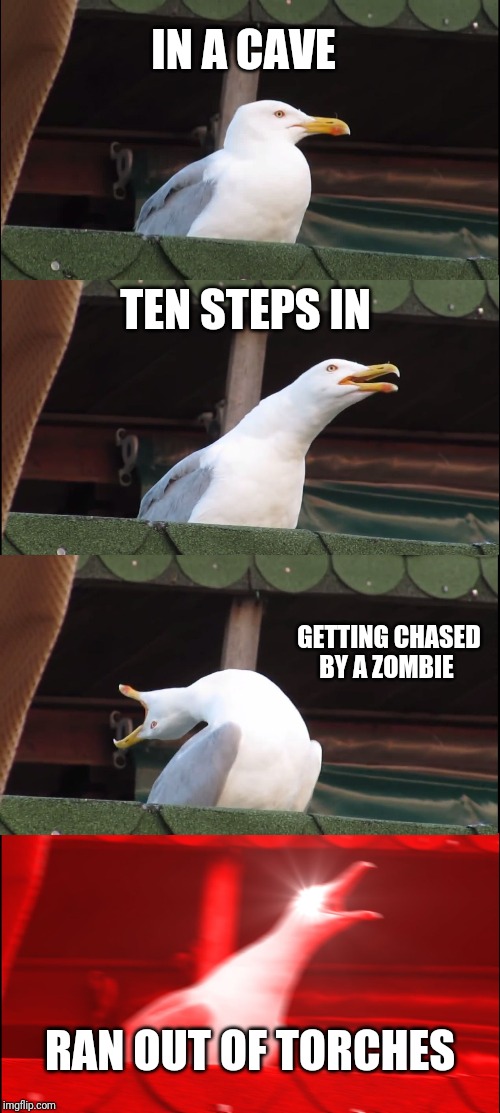 Inhaling Seagull | IN A CAVE; TEN STEPS IN; GETTING CHASED BY A ZOMBIE; RAN OUT OF TORCHES | image tagged in memes,inhaling seagull | made w/ Imgflip meme maker