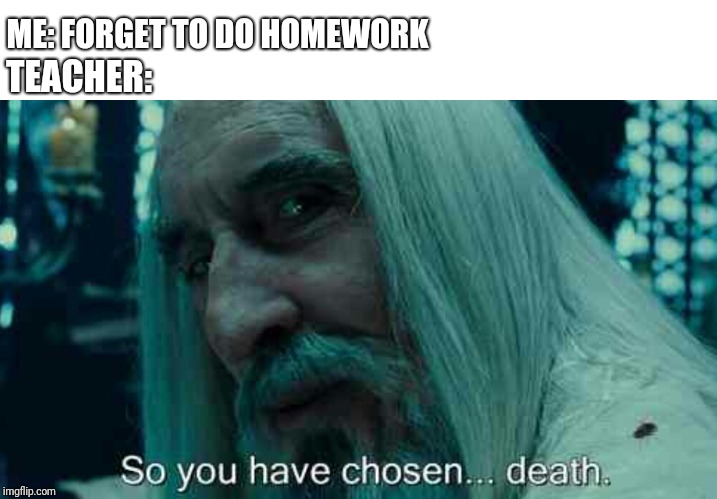 Don't forget to do homework | ME: FORGET TO DO HOMEWORK; TEACHER: | image tagged in so you have chosen death,memes,school | made w/ Imgflip meme maker