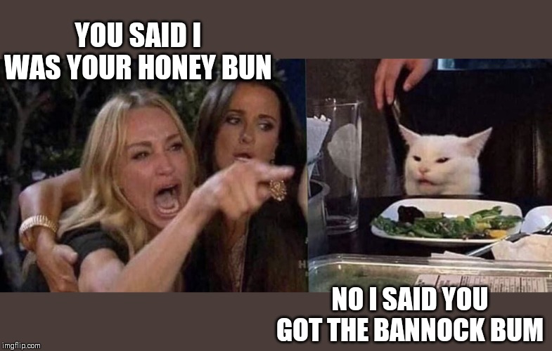 woman yelling at cat | YOU SAID I WAS YOUR HONEY BUN; NO I SAID YOU GOT THE BANNOCK BUM | image tagged in woman yelling at cat | made w/ Imgflip meme maker