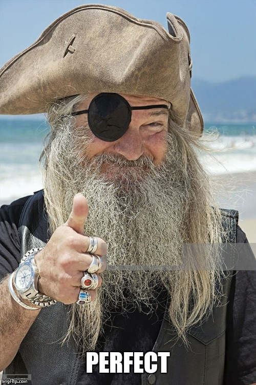 PIRATE THUMBS UP | PERFECT | image tagged in pirate thumbs up | made w/ Imgflip meme maker
