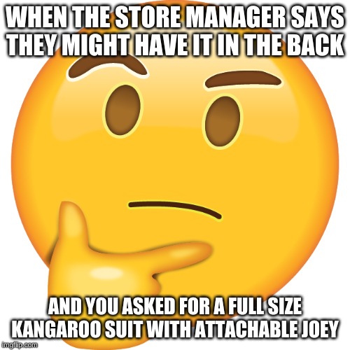 WHEN THE STORE MANAGER SAYS THEY MIGHT HAVE IT IN THE BACK; AND YOU ASKED FOR A FULL SIZE KANGAROO SUIT WITH ATTACHABLE JOEY | image tagged in doubt | made w/ Imgflip meme maker
