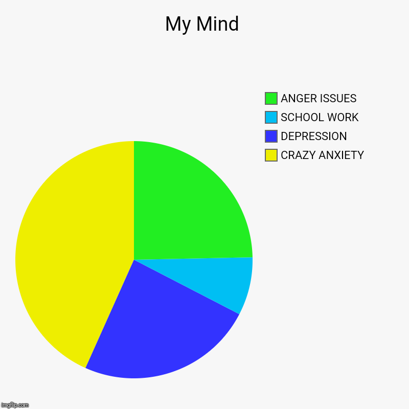My Mind | CRAZY ANXIETY , DEPRESSION , SCHOOL WORK, ANGER ISSUES | image tagged in charts,pie charts | made w/ Imgflip chart maker