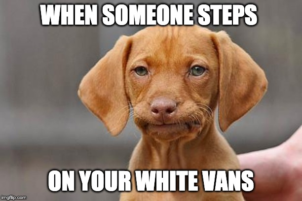 Dissapointed puppy | WHEN SOMEONE STEPS; ON YOUR WHITE VANS | image tagged in dissapointed puppy | made w/ Imgflip meme maker