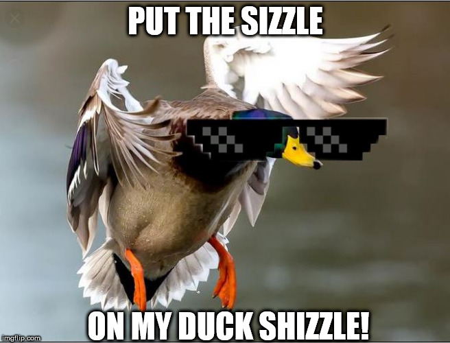 PUT THE SIZZLE ON MY DUCK SHIZZLE! | made w/ Imgflip meme maker