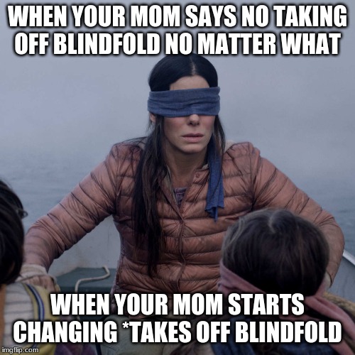 Bird Box Meme | WHEN YOUR MOM SAYS NO TAKING OFF BLINDFOLD NO MATTER WHAT; WHEN YOUR MOM STARTS CHANGING *TAKES OFF BLINDFOLD | image tagged in memes,bird box | made w/ Imgflip meme maker