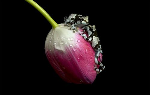 image tagged in nature,photography