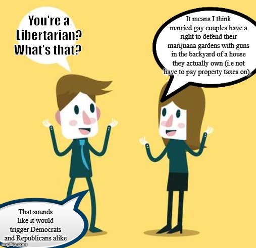 Two People Talking | It means I think married gay couples have a right to defend their marijuana gardens with guns in the backyard of a house they actually own (i.e not have to pay property taxes on). You're a Libertarian? What's that? That sounds like it would trigger Democrats and Republicans alike | image tagged in two people talking,liberals,libertarian,liberty,political meme,taxation is theft | made w/ Imgflip meme maker