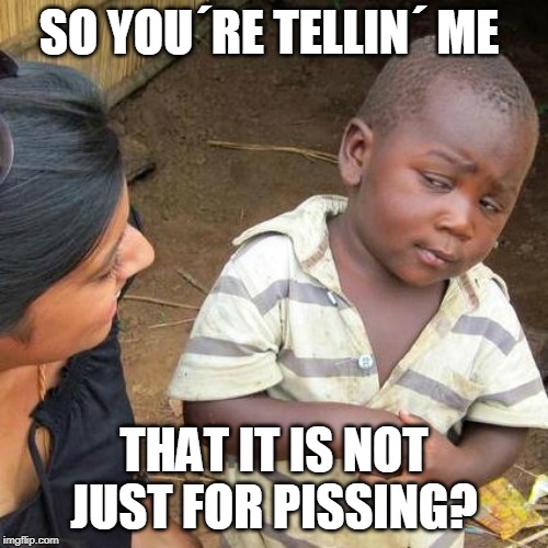 Third World Skeptical Kid Meme |  SO YOU´RE TELLIN´ ME; THAT IT IS NOT JUST FOR PISSING? | image tagged in memes,third world skeptical kid | made w/ Imgflip meme maker