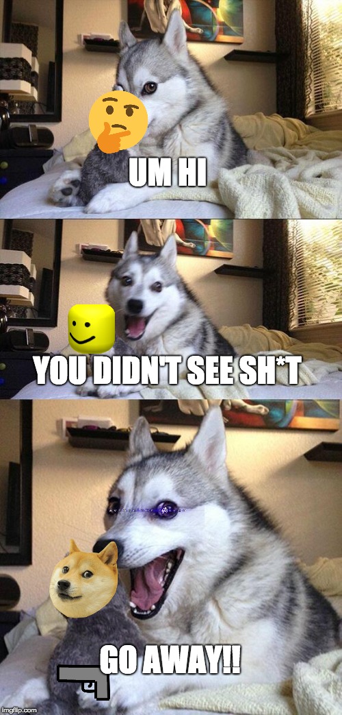 Bad Pun Dog | UM HI; YOU DIDN'T SEE SH*T; GO AWAY!! | image tagged in memes,bad pun dog | made w/ Imgflip meme maker