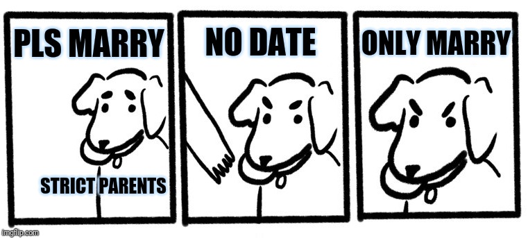 No Take, Only Throw | NO DATE; ONLY MARRY; PLS MARRY; STRICT PARENTS | image tagged in no take only throw | made w/ Imgflip meme maker