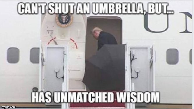 Trump Unmatched Wisdom | image tagged in trump unmatched wisdom | made w/ Imgflip meme maker