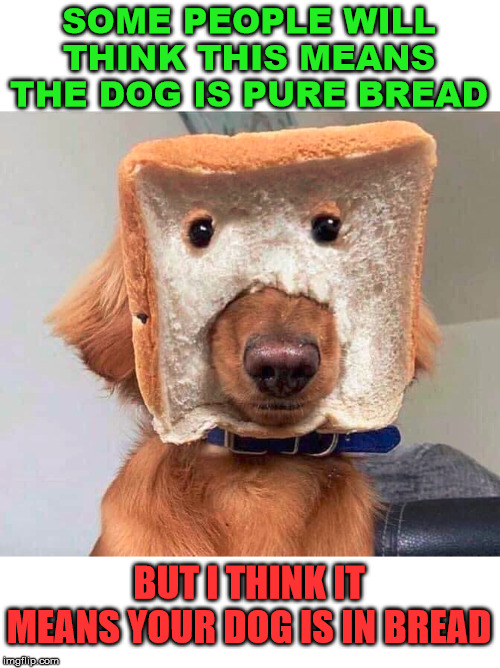 Could also be a dog superhero? Wonder Dog. | SOME PEOPLE WILL THINK THIS MEANS THE DOG IS PURE BREAD; BUT I THINK IT MEANS YOUR DOG IS IN BREAD | image tagged in bread,dogs,funny meme | made w/ Imgflip meme maker