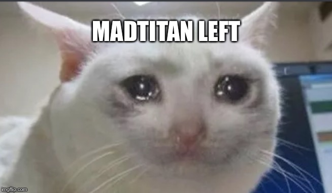 Goodbye MadTitan | MADTITAN LEFT | image tagged in sad cat | made w/ Imgflip meme maker