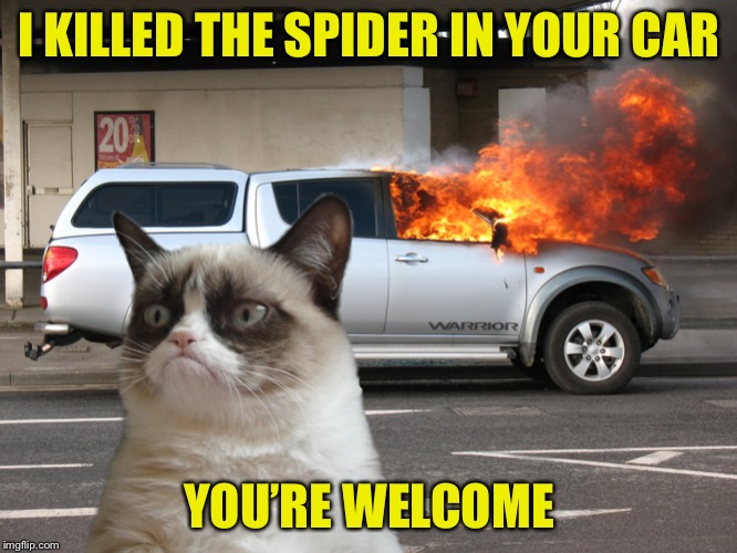 She is so thoughtful |  I KILLED THE SPIDER IN YOUR CAR; YOU’RE WELCOME | image tagged in grumpy cat car on fire,memes,funny,spiders,helpful | made w/ Imgflip meme maker