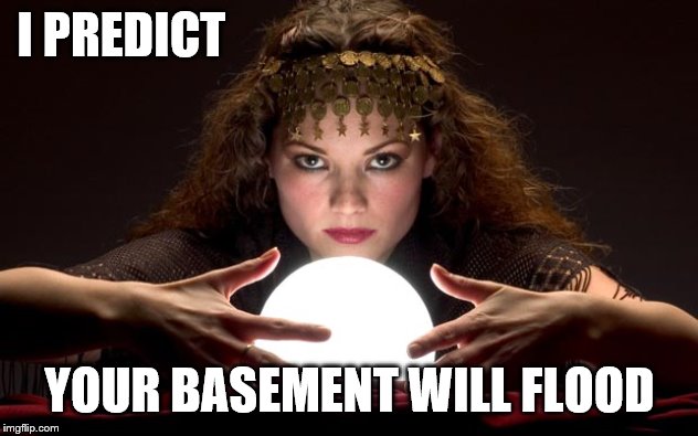 Psychic with Crystal Ball | I PREDICT YOUR BASEMENT WILL FLOOD | image tagged in psychic with crystal ball | made w/ Imgflip meme maker