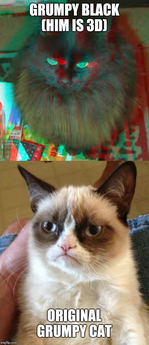 Which is better and more grumpy? | GRUMPY BLACK (HIM IS 3D); ORIGINAL GRUMPY CAT | image tagged in memes,grumpy cat,3d,cat | made w/ Imgflip meme maker