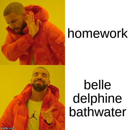Drake Hotline Bling Meme | homework; belle delphine bathwater | image tagged in memes,drake hotline bling | made w/ Imgflip meme maker