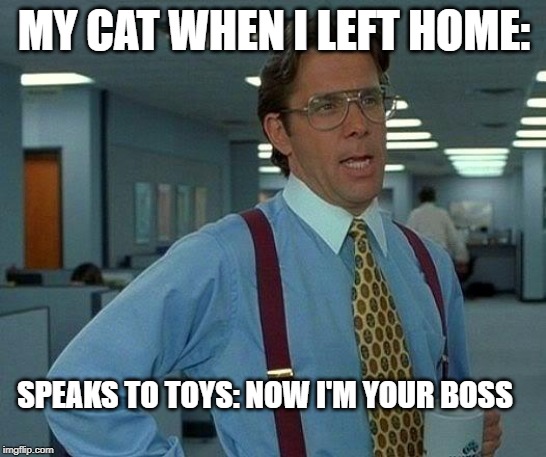 That Would Be Great | MY CAT WHEN I LEFT HOME:; SPEAKS TO TOYS: NOW I'M YOUR BOSS | image tagged in memes,that would be great | made w/ Imgflip meme maker