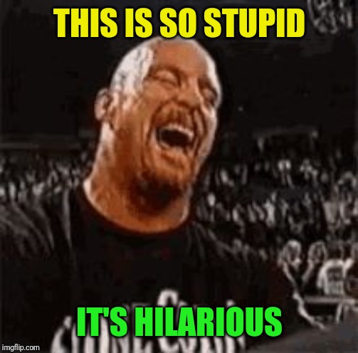 Stone Cold Laughing | THIS IS SO STUPID IT'S HILARIOUS | image tagged in stone cold laughing | made w/ Imgflip meme maker