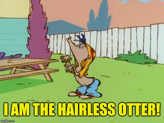 The Hairless Otter | I AM THE HAIRLESS OTTER! | image tagged in memes,ed edd n eddy | made w/ Imgflip meme maker