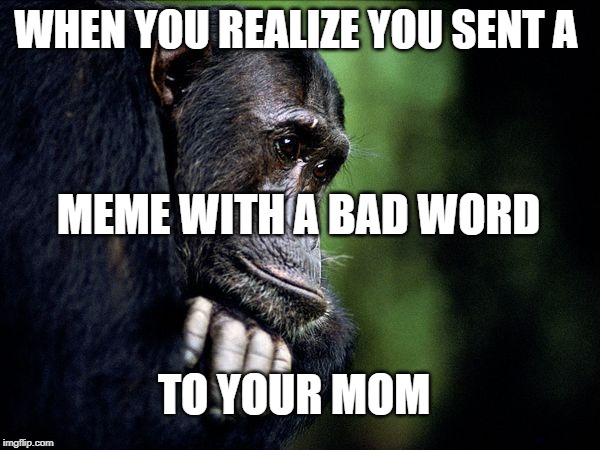 this happens alot | WHEN YOU REALIZE YOU SENT A; MEME WITH A BAD WORD; TO YOUR MOM | image tagged in sad chimp | made w/ Imgflip meme maker