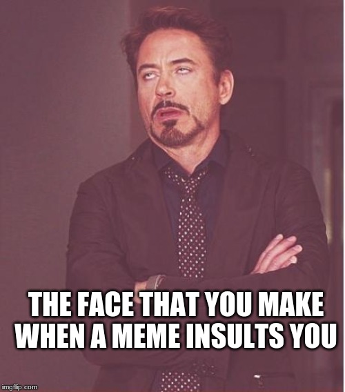 Face You Make Robert Downey Jr | THE FACE THAT YOU MAKE WHEN A MEME INSULTS YOU | image tagged in memes,face you make robert downey jr | made w/ Imgflip meme maker