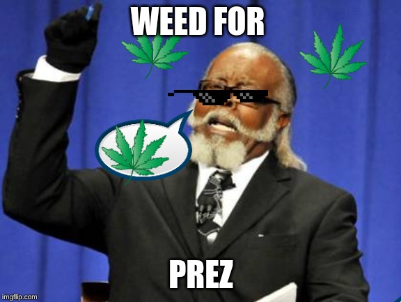Too Damn High Meme | WEED FOR; PREZ | image tagged in memes,too damn high | made w/ Imgflip meme maker