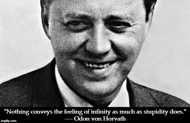"Nothing conveys the feeling of infinity as much as stupidity does."
---- Odon von Horvath | image tagged in infinity,stupidity,trump | made w/ Imgflip meme maker