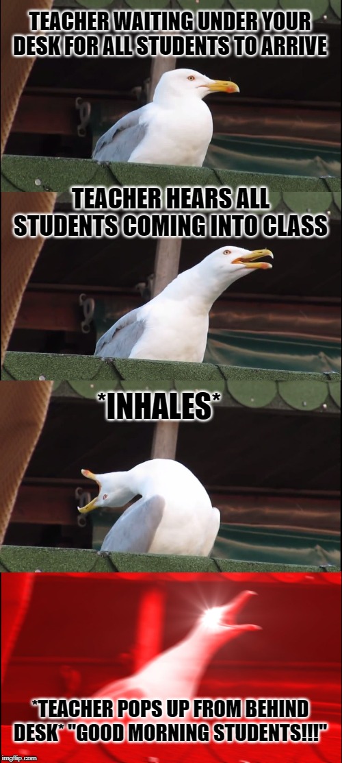 Inhaling Seagull | TEACHER WAITING UNDER YOUR DESK FOR ALL STUDENTS TO ARRIVE; TEACHER HEARS ALL STUDENTS COMING INTO CLASS; *INHALES*; *TEACHER POPS UP FROM BEHIND DESK* "GOOD MORNING STUDENTS!!!" | image tagged in memes,inhaling seagull | made w/ Imgflip meme maker