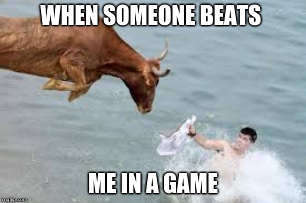 WHEN SOMEONE BEATS; ME IN A GAME | image tagged in angry,bull | made w/ Imgflip meme maker