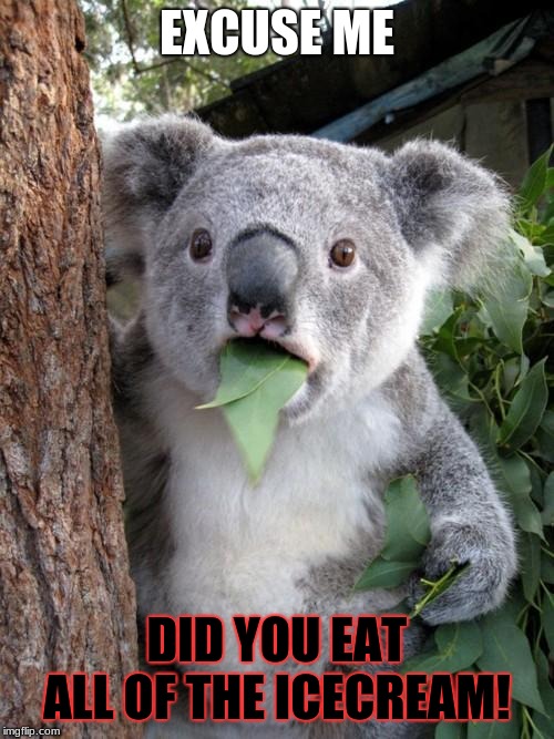 Surprised Koala | EXCUSE ME; DID YOU EAT ALL OF THE ICECREAM! | image tagged in memes,surprised koala | made w/ Imgflip meme maker