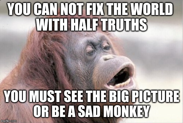 Monkey OOH | YOU CAN NOT FIX THE WORLD 

WITH HALF TRUTHS; YOU MUST SEE THE BIG PICTURE

OR BE A SAD MONKEY | image tagged in memes,monkey ooh | made w/ Imgflip meme maker