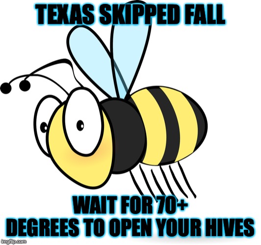 COLD BEE | TEXAS SKIPPED FALL; WAIT FOR 70+ DEGREES TO OPEN YOUR HIVES | image tagged in beekeeping,cold bee,hive | made w/ Imgflip meme maker