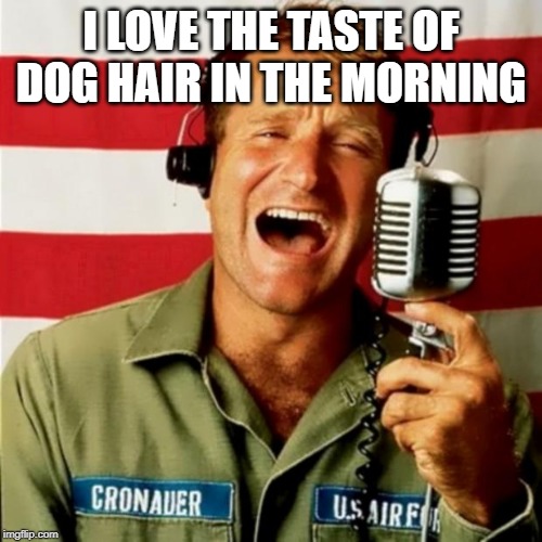 Good Morning Vietnam | I LOVE THE TASTE OF DOG HAIR IN THE MORNING | image tagged in good morning vietnam | made w/ Imgflip meme maker