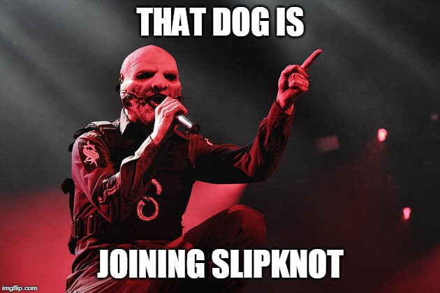 Slipknot | THAT DOG IS JOINING SLIPKNOT | image tagged in slipknot | made w/ Imgflip meme maker