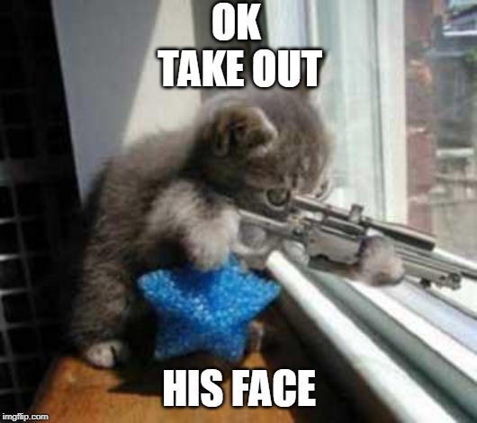 CatSniper | OK 
TAKE OUT HIS FACE | image tagged in catsniper | made w/ Imgflip meme maker
