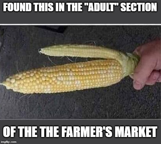 These GMO's are getting sophisticated! | FOUND THIS IN THE "ADULT" SECTION; OF THE THE FARMER'S MARKET | image tagged in gmo's,funny,funny memes | made w/ Imgflip meme maker