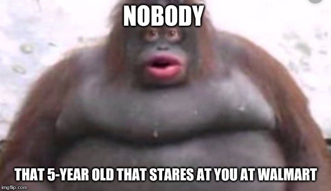 NOBODY; THAT 5-YEAR OLD THAT STARES AT YOU AT WALMART | image tagged in funny | made w/ Imgflip meme maker