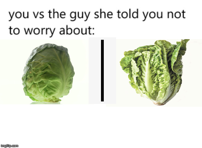 You vs the guy | image tagged in you vs the guy | made w/ Imgflip meme maker