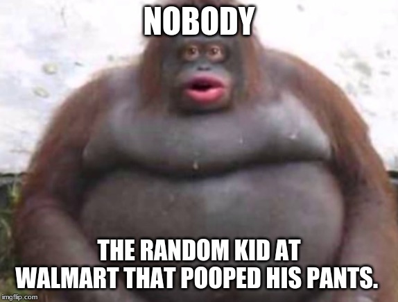 NOBODY; THE RANDOM KID AT WALMART THAT POOPED HIS PANTS. | image tagged in funny | made w/ Imgflip meme maker