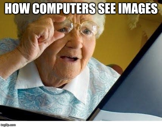 old lady at computer | HOW COMPUTERS SEE IMAGES | image tagged in old lady at computer | made w/ Imgflip meme maker